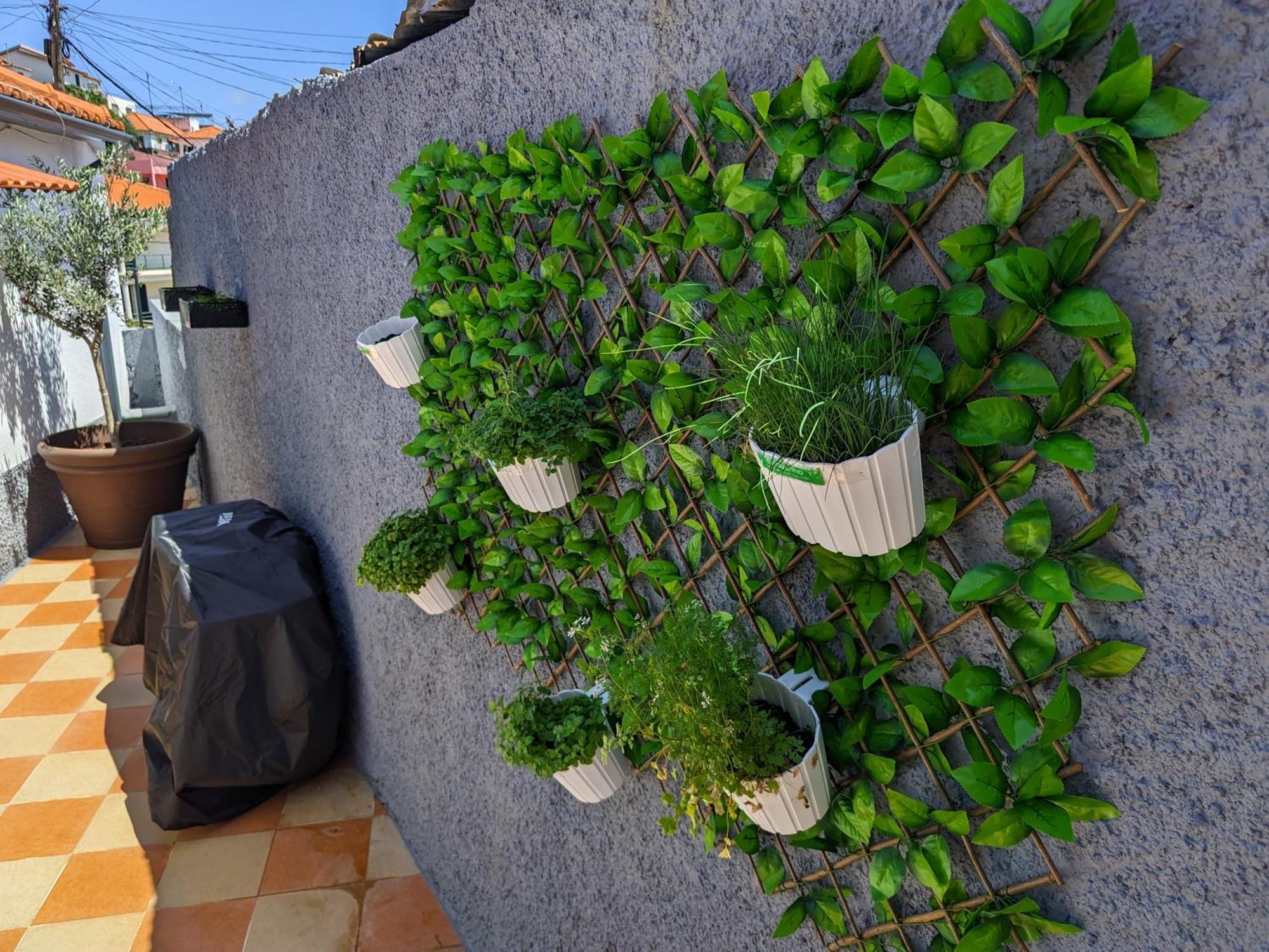 푼샬 Casa Ascencao, Vista Mar Madeira 빌라 외부 사진