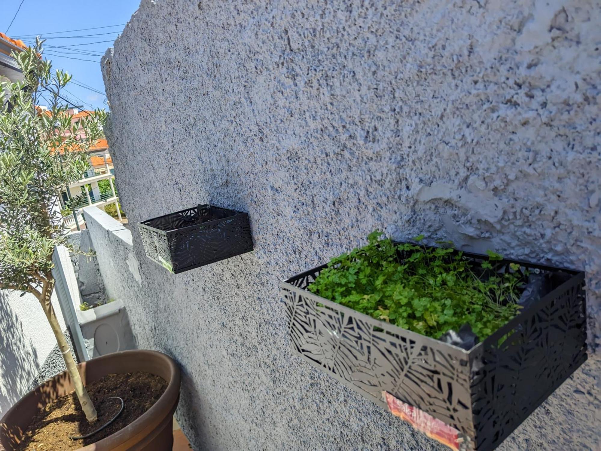 푼샬 Casa Ascencao, Vista Mar Madeira 빌라 외부 사진